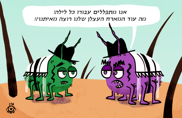 KinimHeb